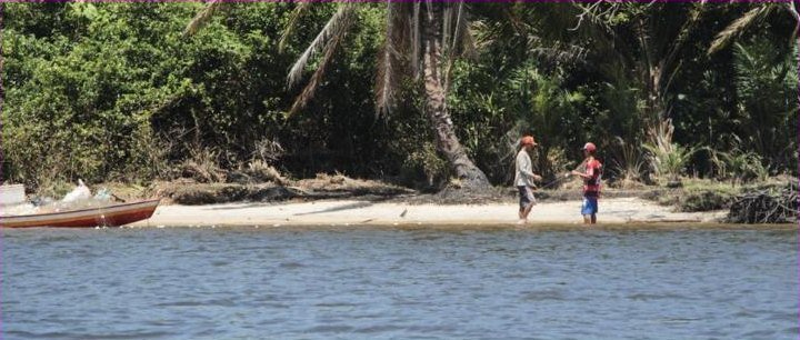 Rio Preguiças com coqueiros no caminho de Atins